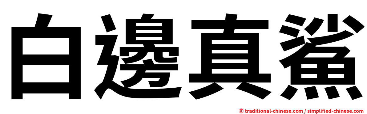 白邊真鯊