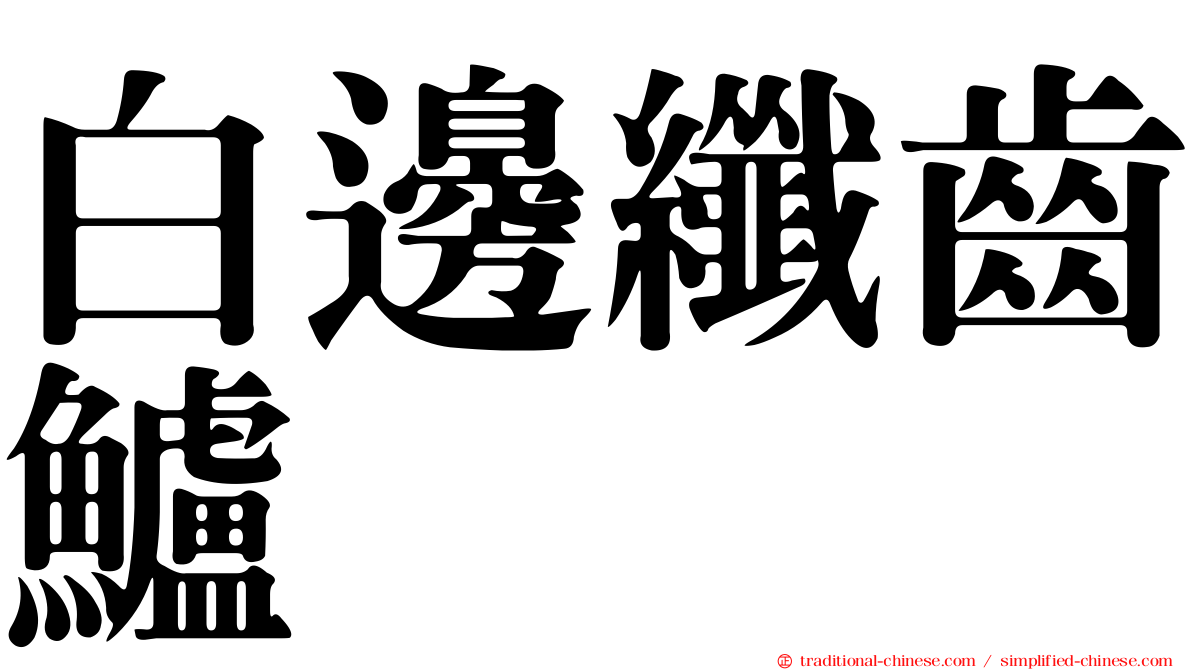 白邊纖齒鱸