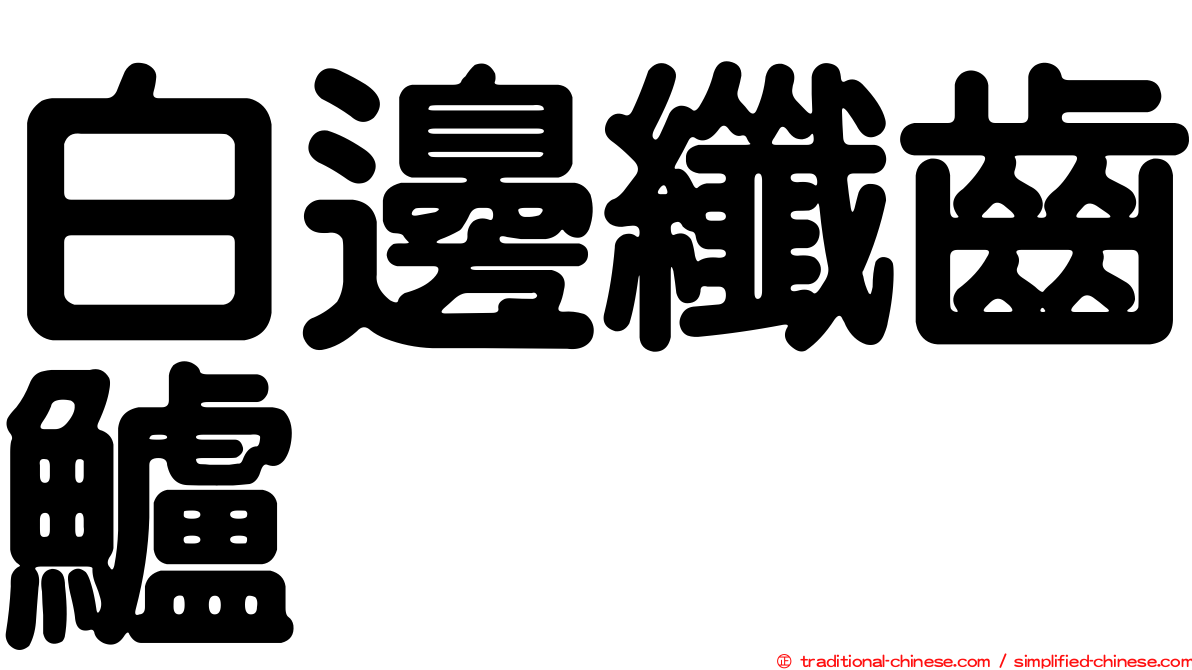 白邊纖齒鱸