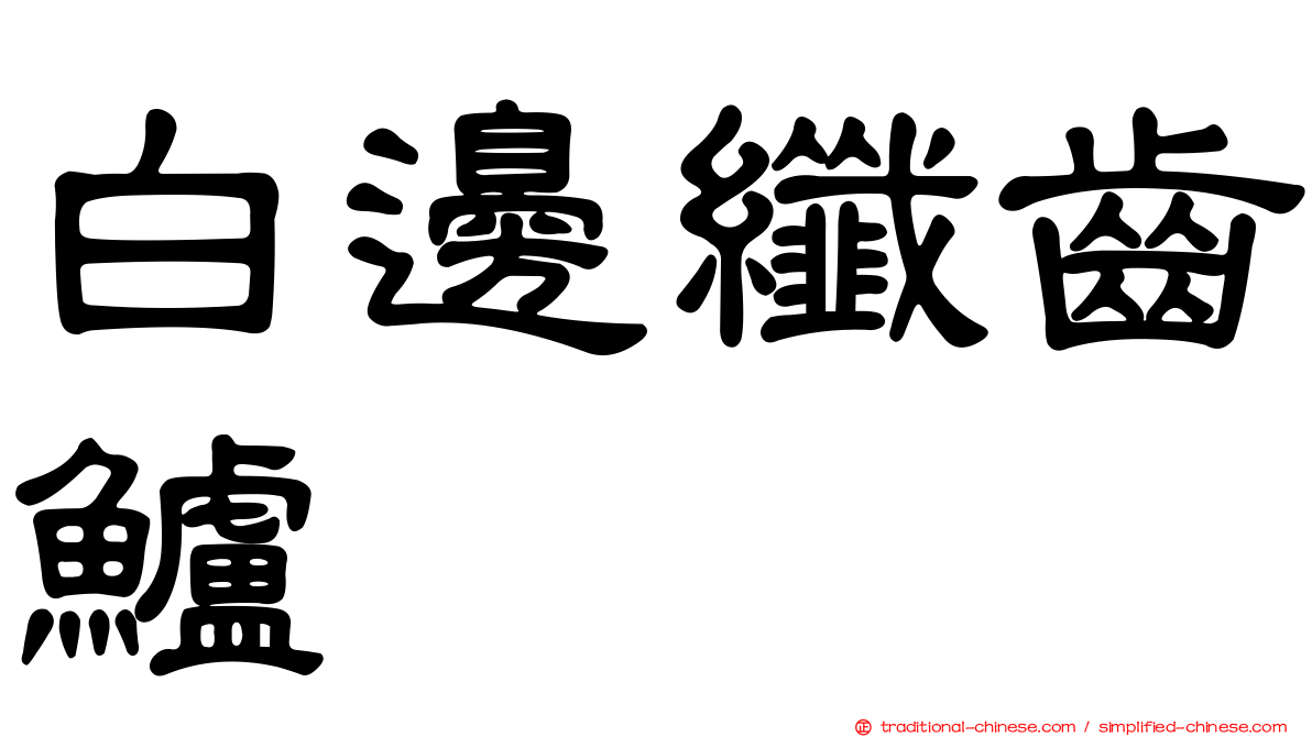 白邊纖齒鱸
