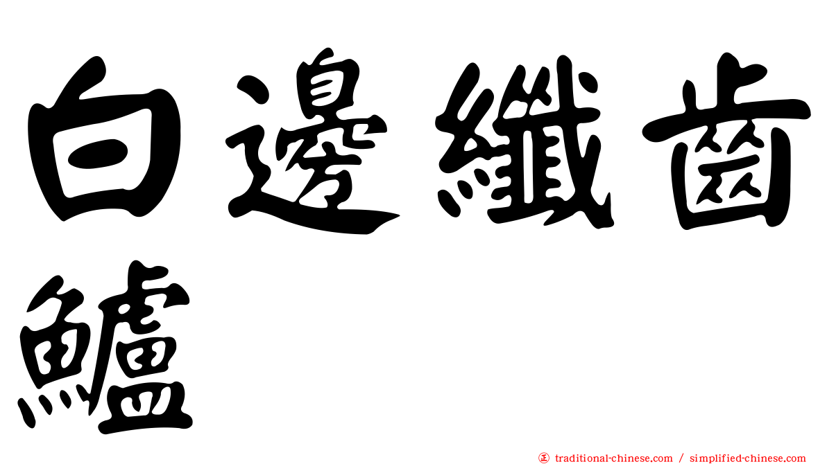 白邊纖齒鱸