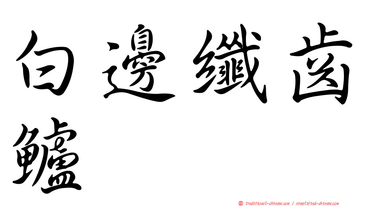白邊纖齒鱸