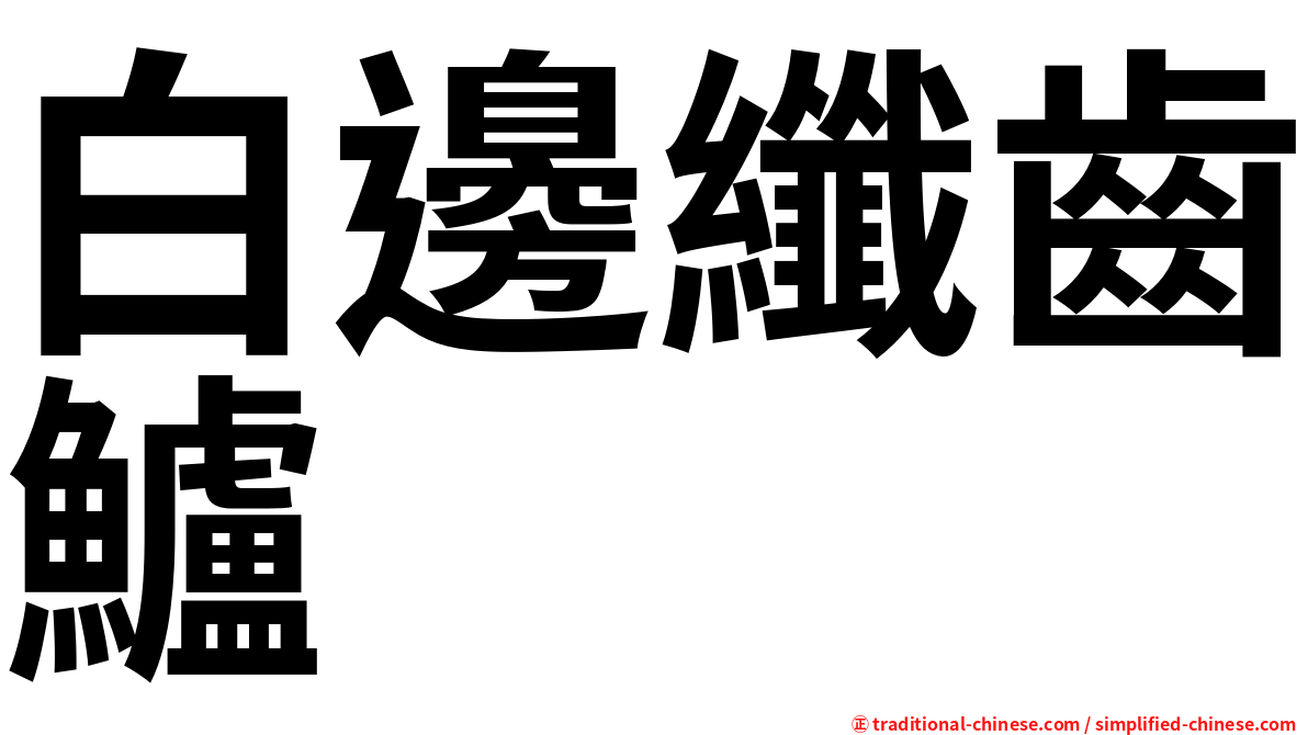 白邊纖齒鱸