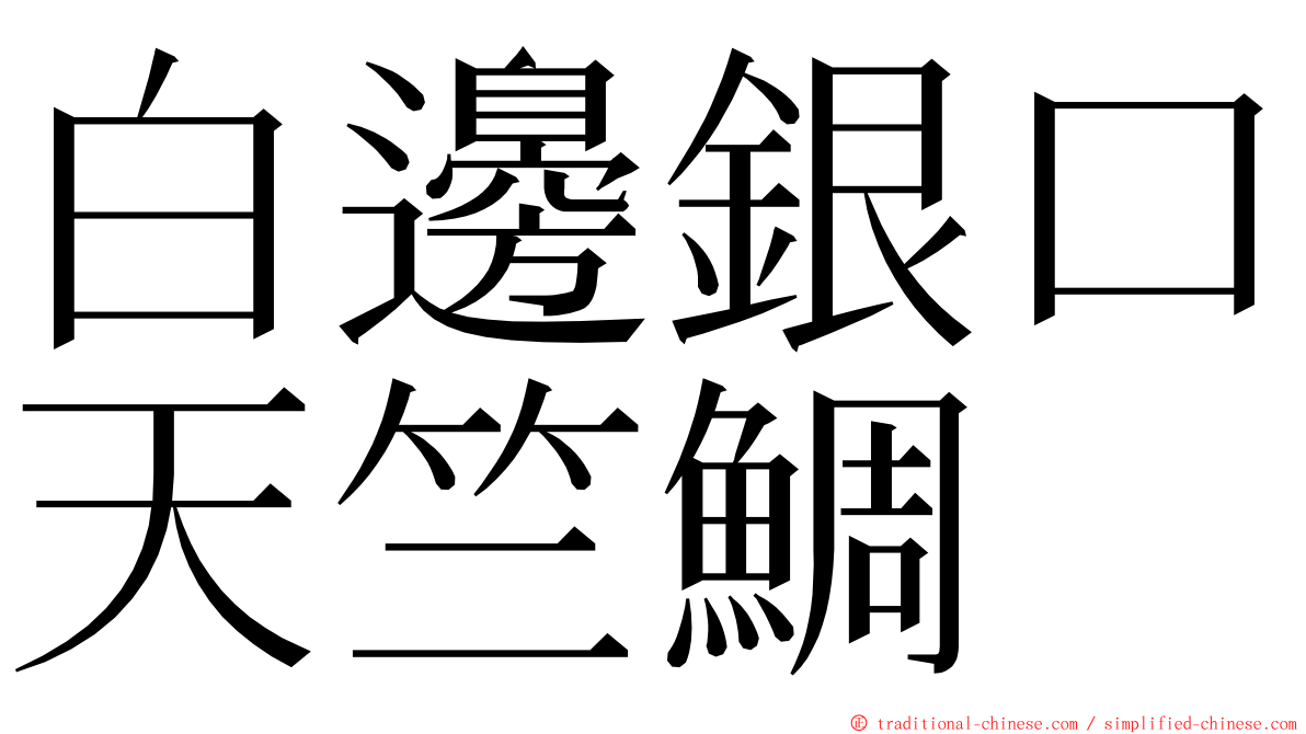 白邊銀口天竺鯛 ming font