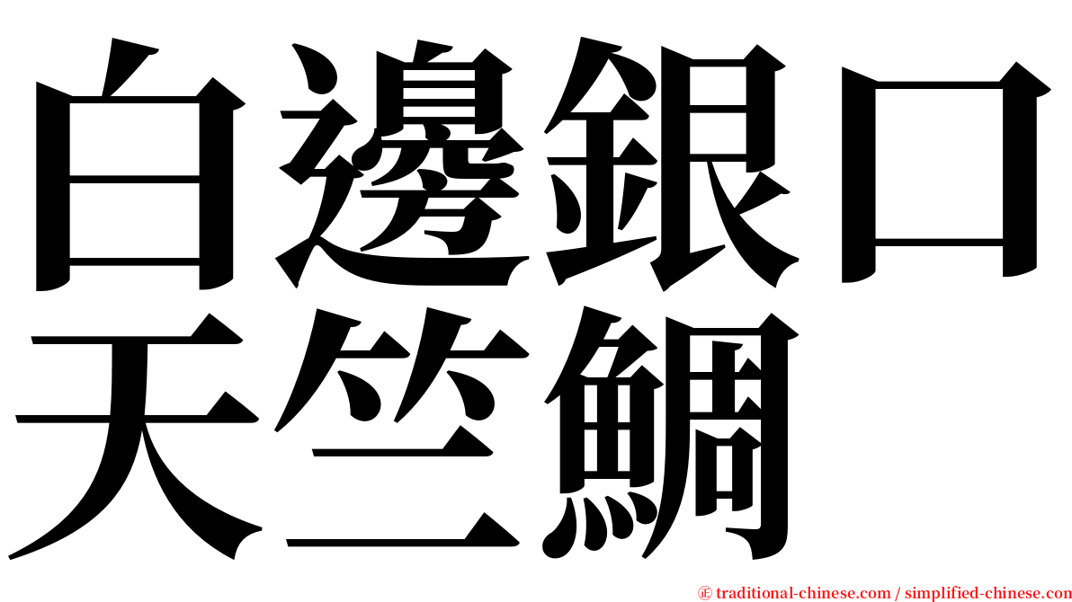 白邊銀口天竺鯛 serif font