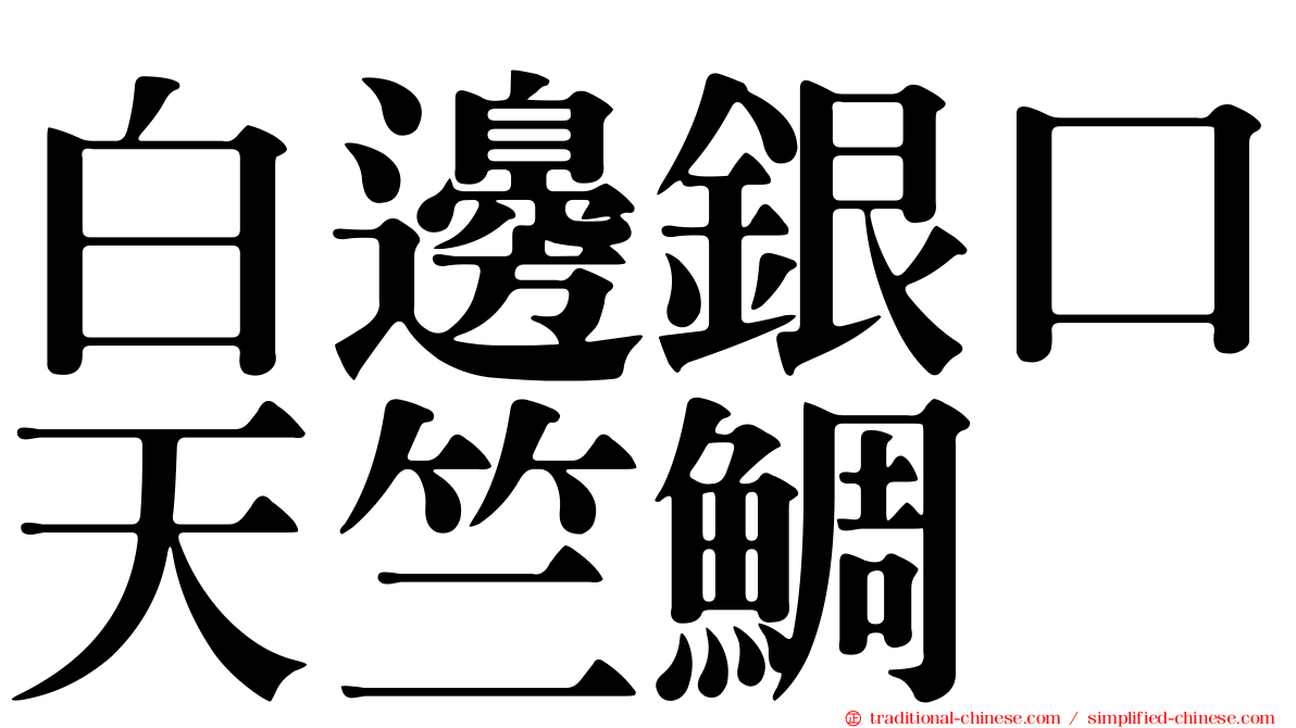 白邊銀口天竺鯛