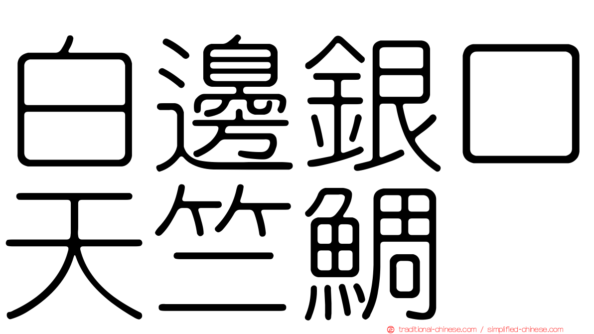 白邊銀口天竺鯛