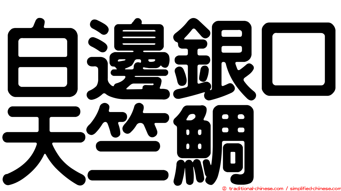 白邊銀口天竺鯛