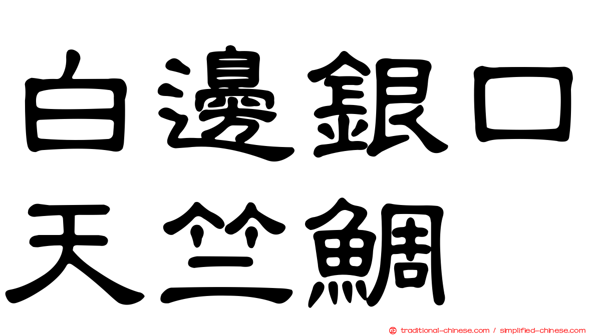 白邊銀口天竺鯛