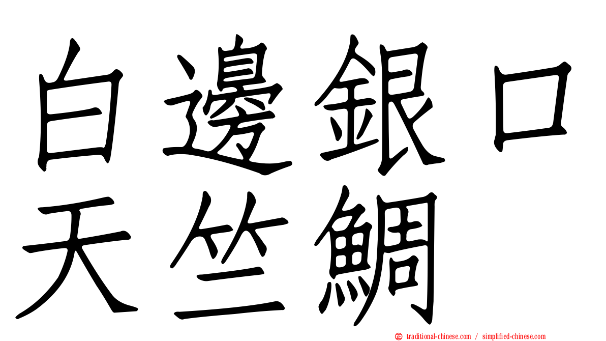 白邊銀口天竺鯛