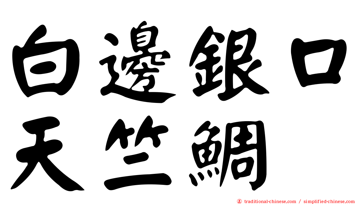 白邊銀口天竺鯛