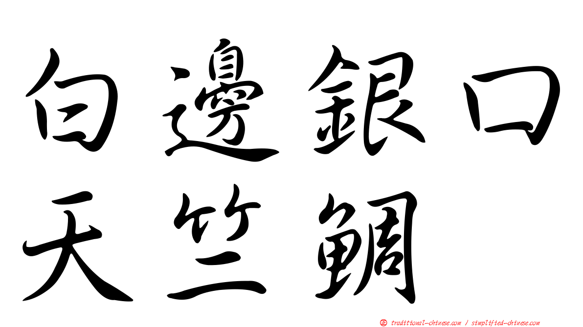 白邊銀口天竺鯛