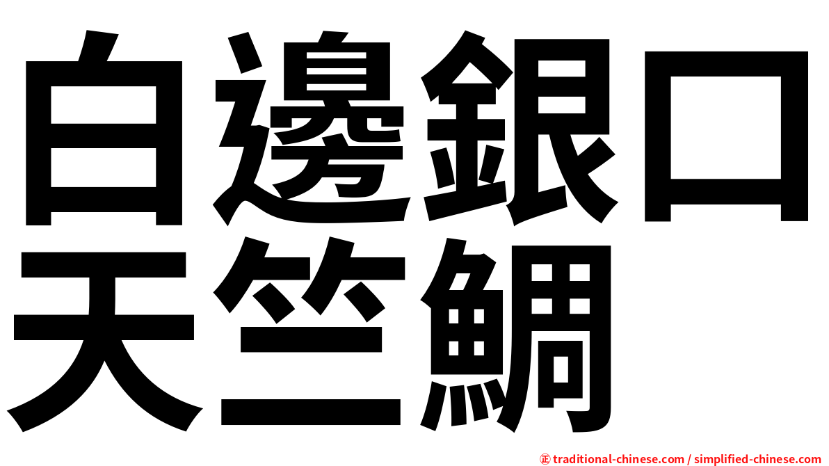 白邊銀口天竺鯛
