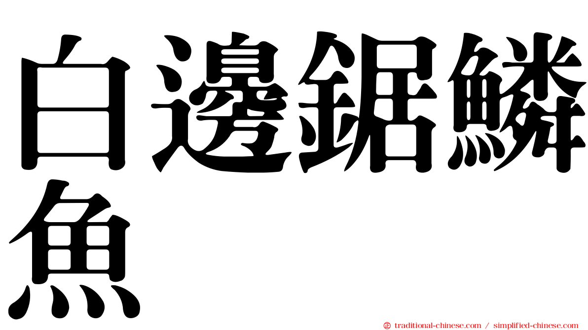 白邊鋸鱗魚