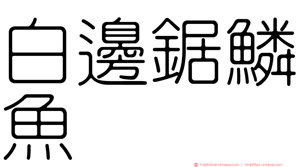 白邊鋸鱗魚