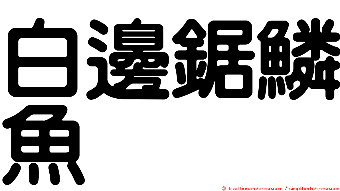 白邊鋸鱗魚