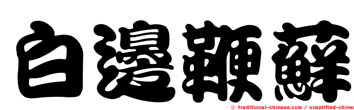 白邊鞭蘚