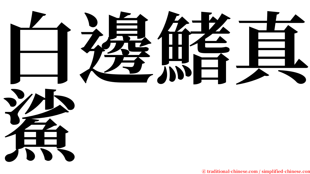 白邊鰭真鯊 serif font