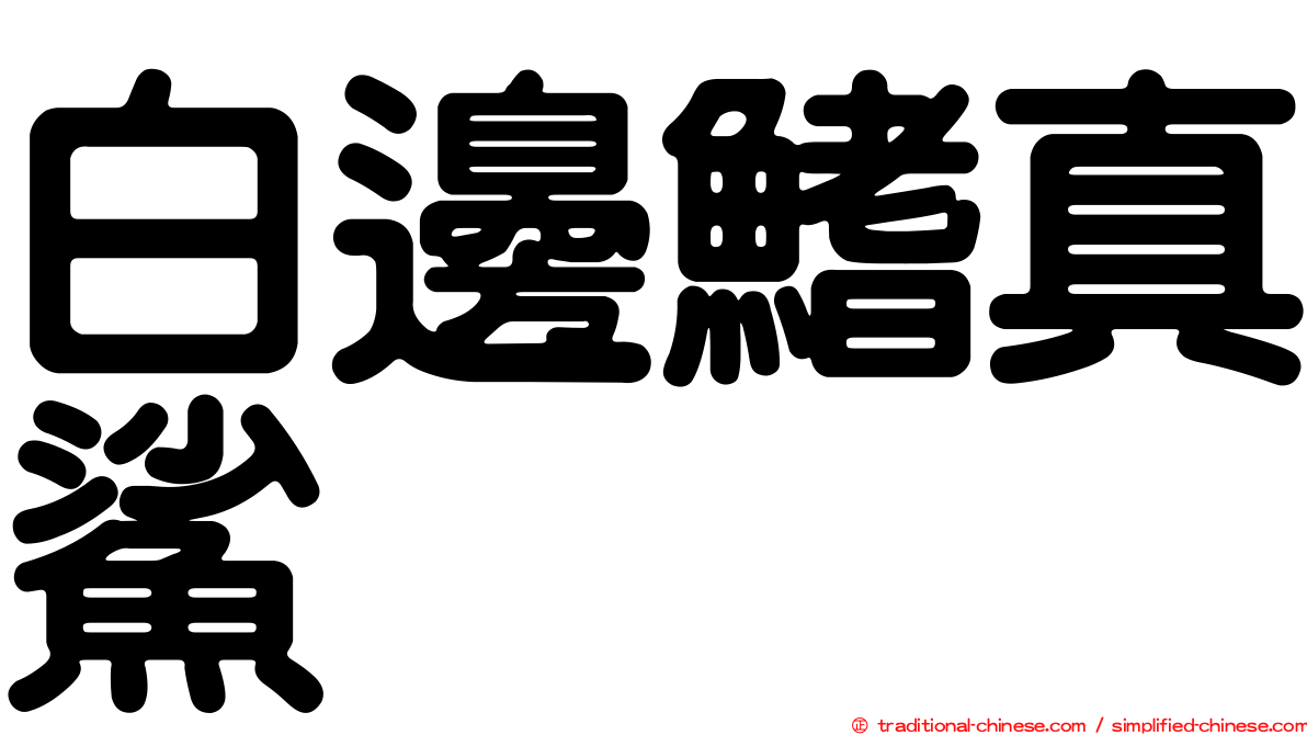 白邊鰭真鯊