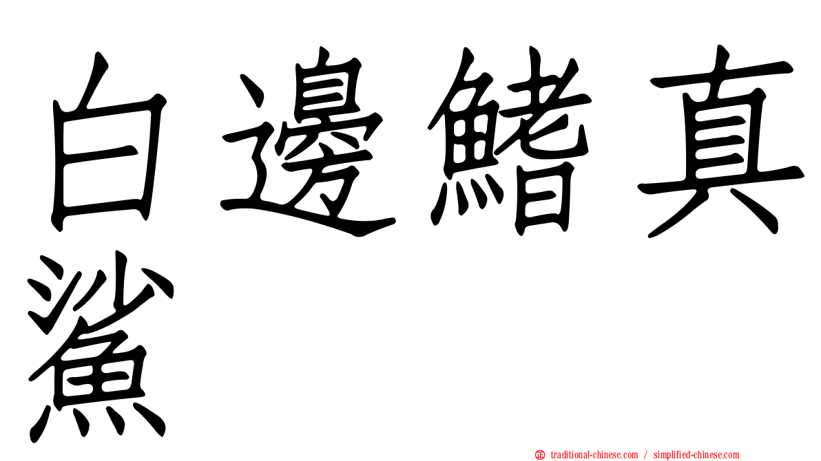 白邊鰭真鯊