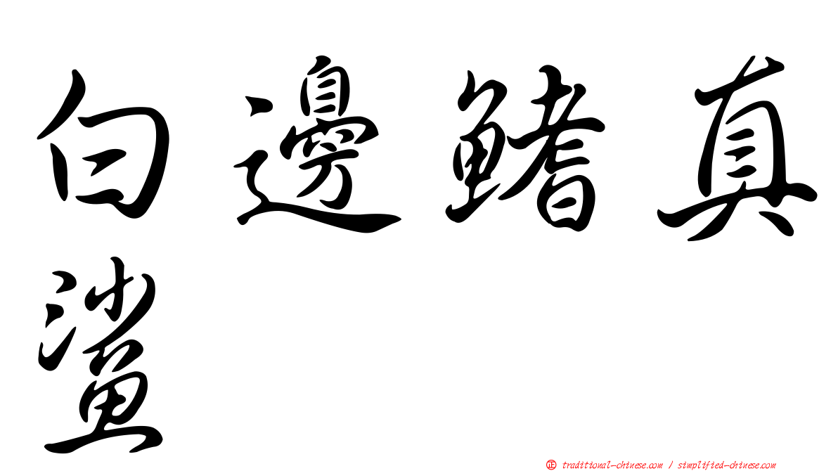 白邊鰭真鯊
