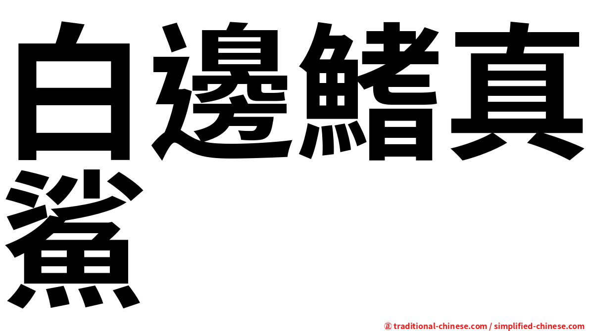 白邊鰭真鯊