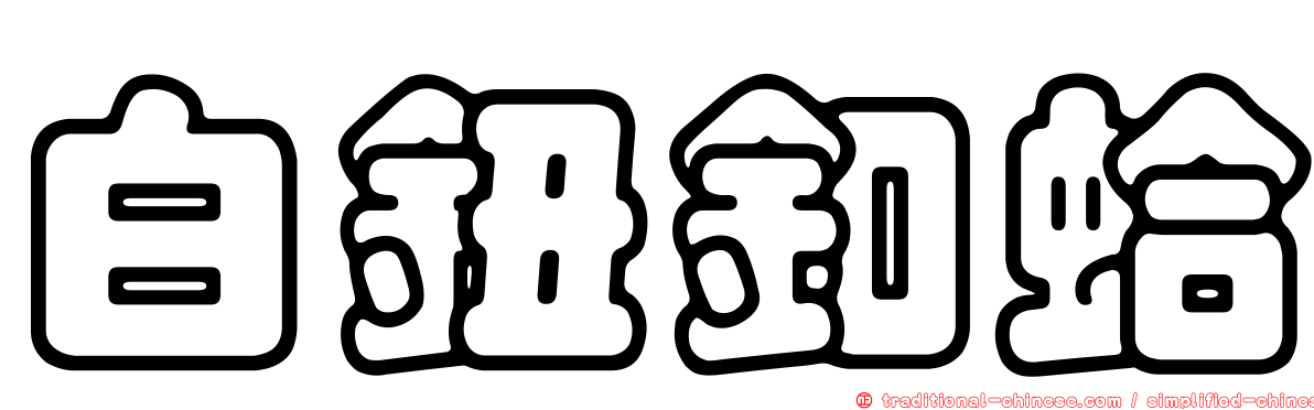 白鈕釦蛤