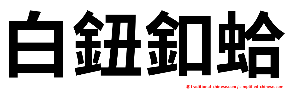 白鈕釦蛤