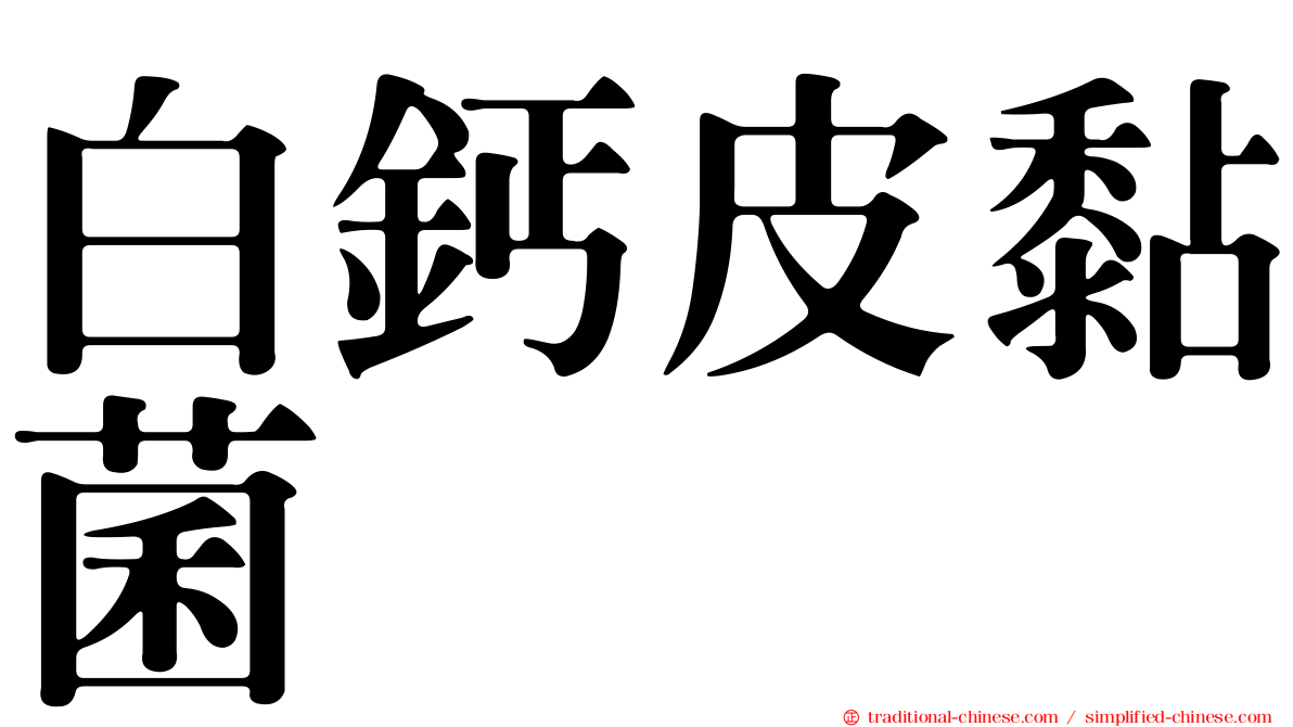 白鈣皮黏菌