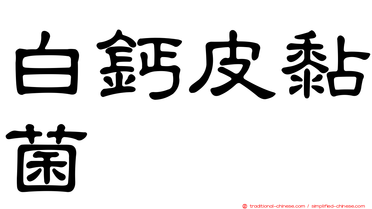 白鈣皮黏菌