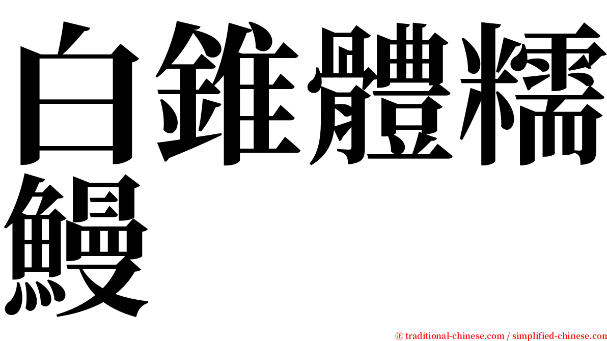 白錐體糯鰻 serif font