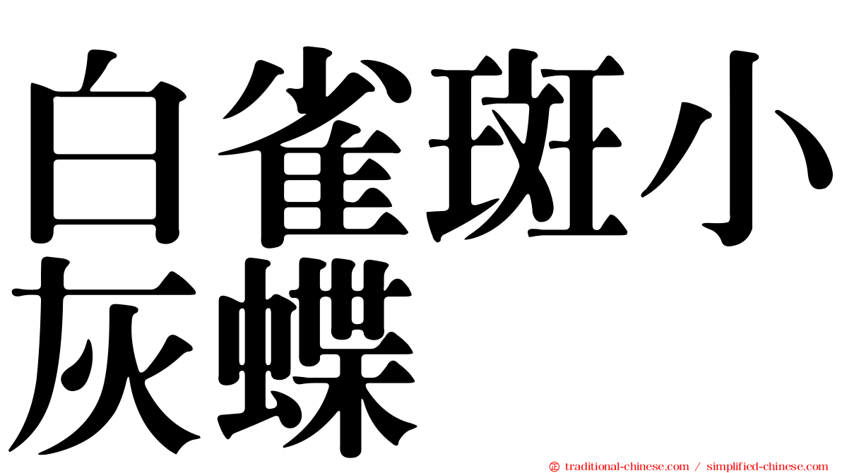 白雀斑小灰蝶