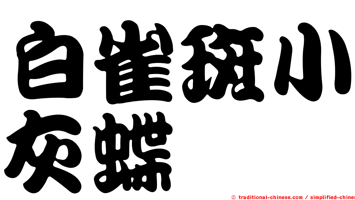 白雀斑小灰蝶