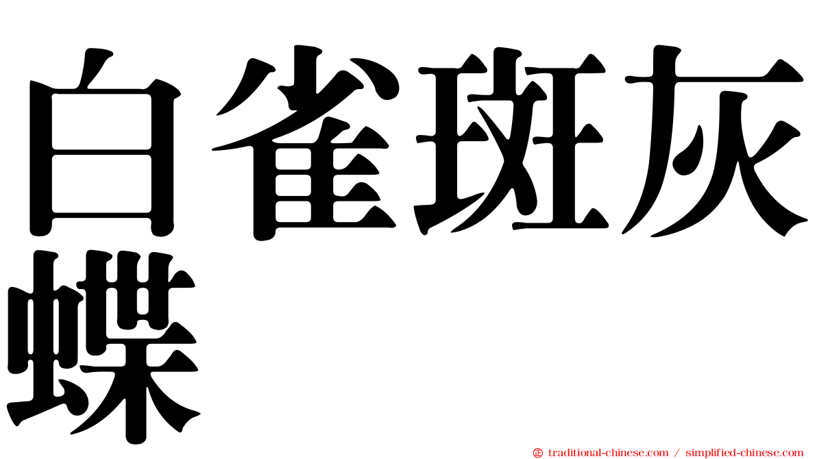 白雀斑灰蝶