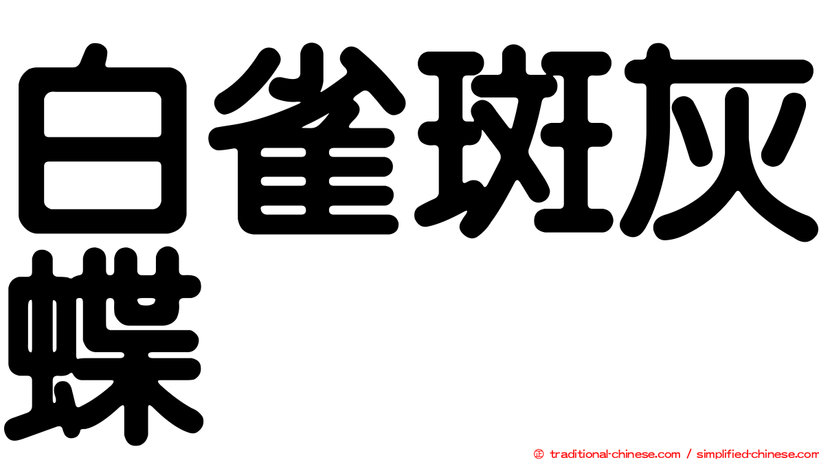 白雀斑灰蝶