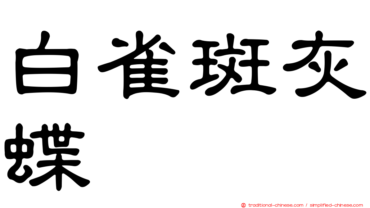 白雀斑灰蝶