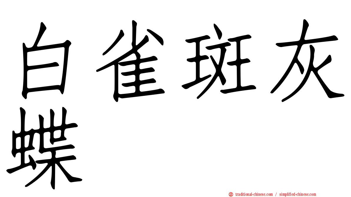 白雀斑灰蝶