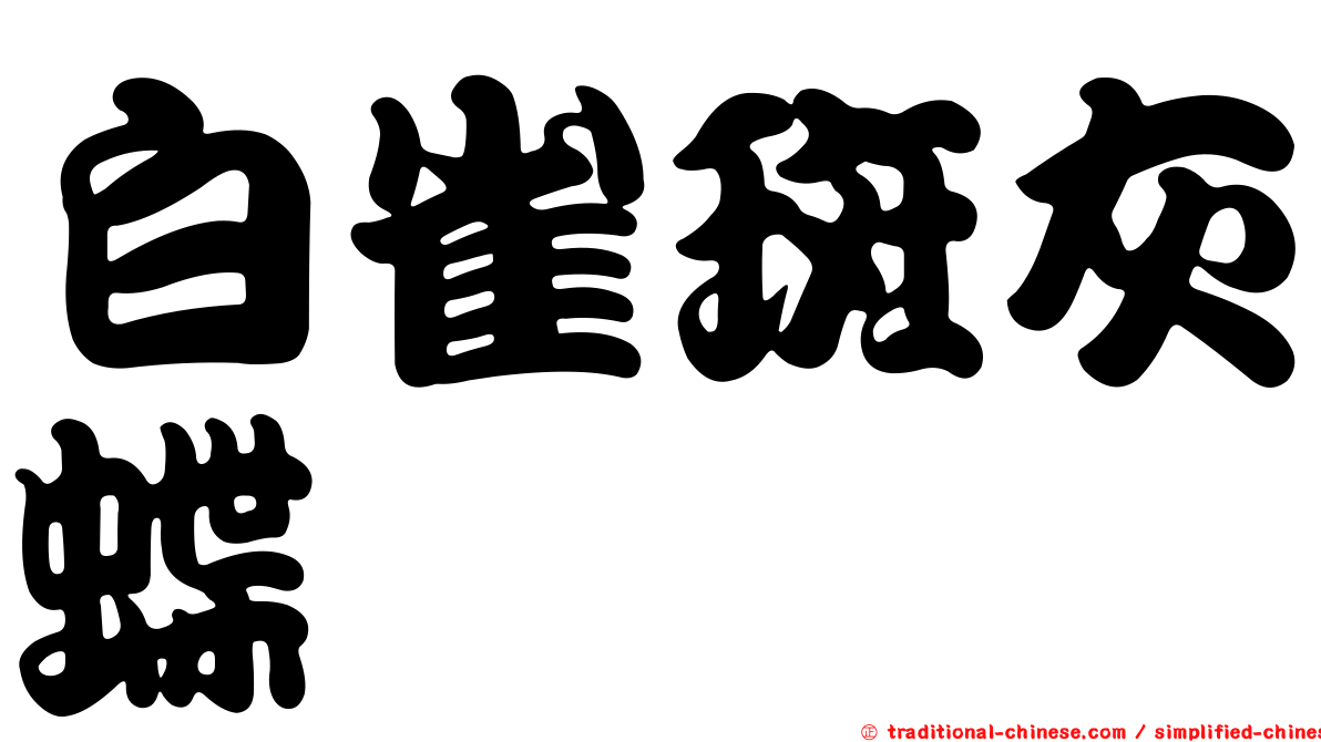 白雀斑灰蝶