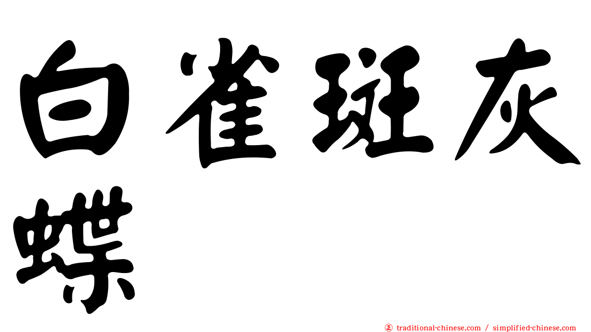 白雀斑灰蝶
