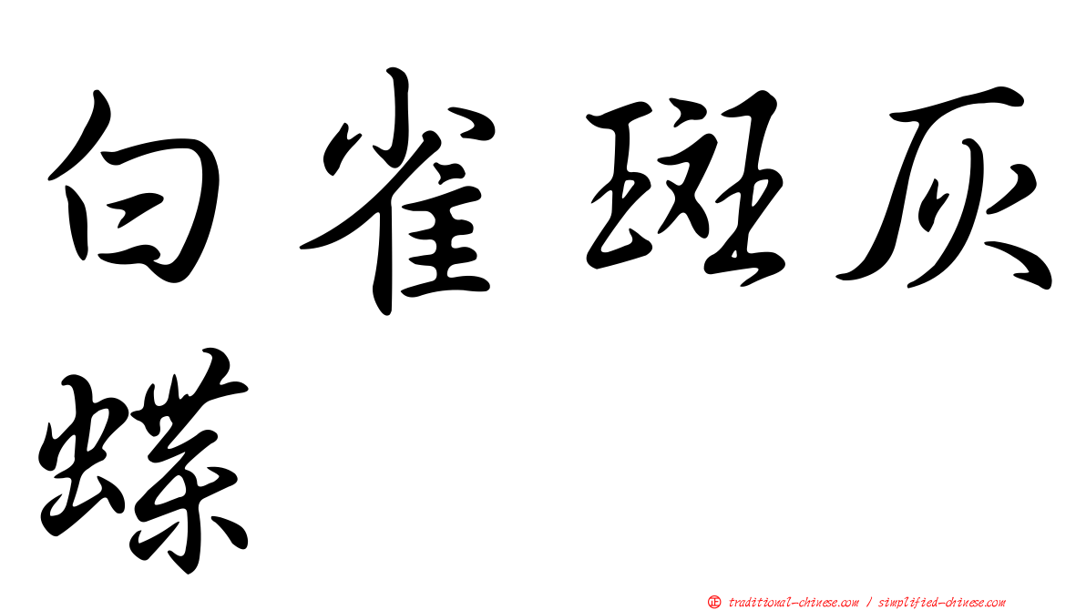 白雀斑灰蝶