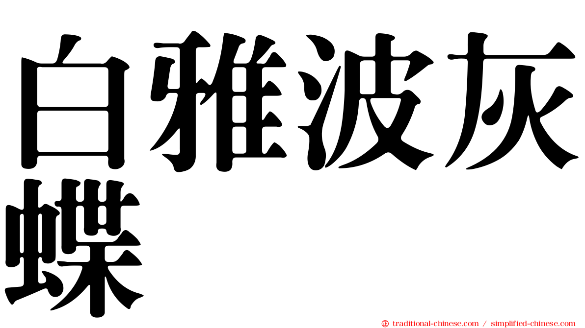 白雅波灰蝶