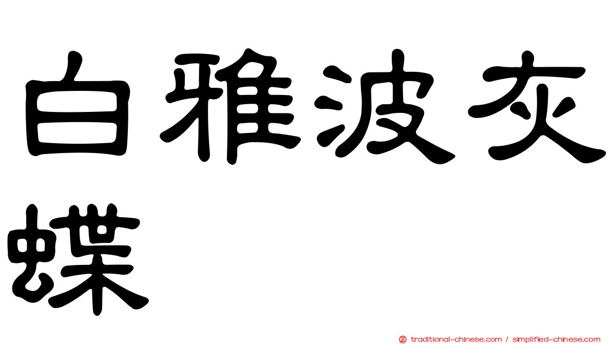 白雅波灰蝶