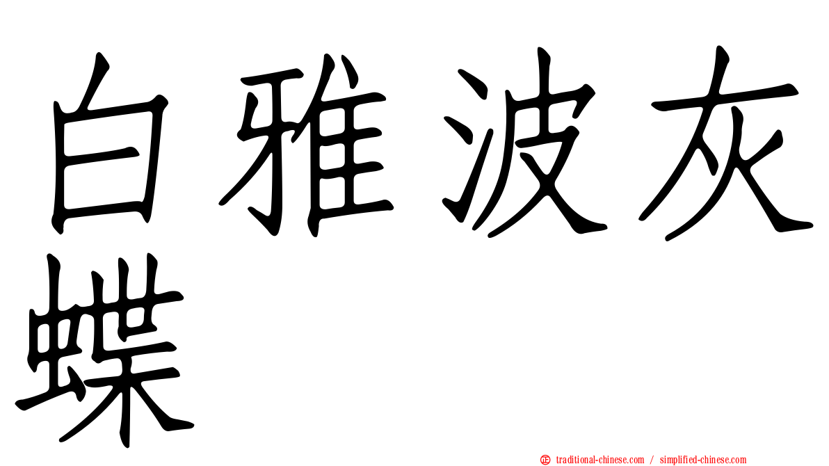 白雅波灰蝶