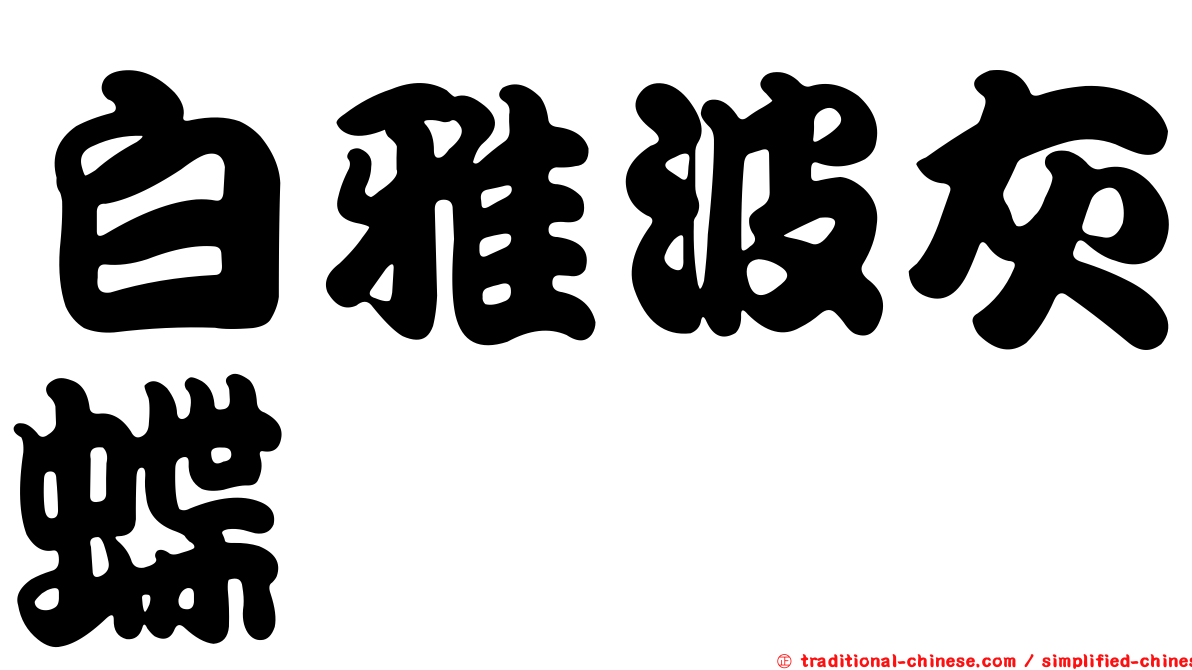 白雅波灰蝶