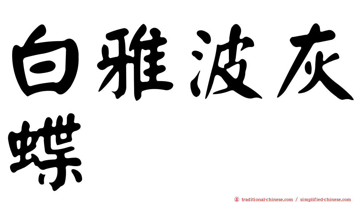 白雅波灰蝶