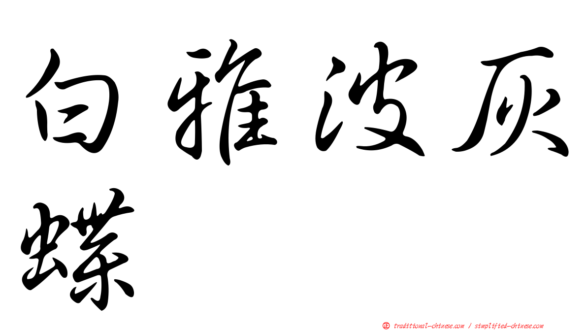 白雅波灰蝶