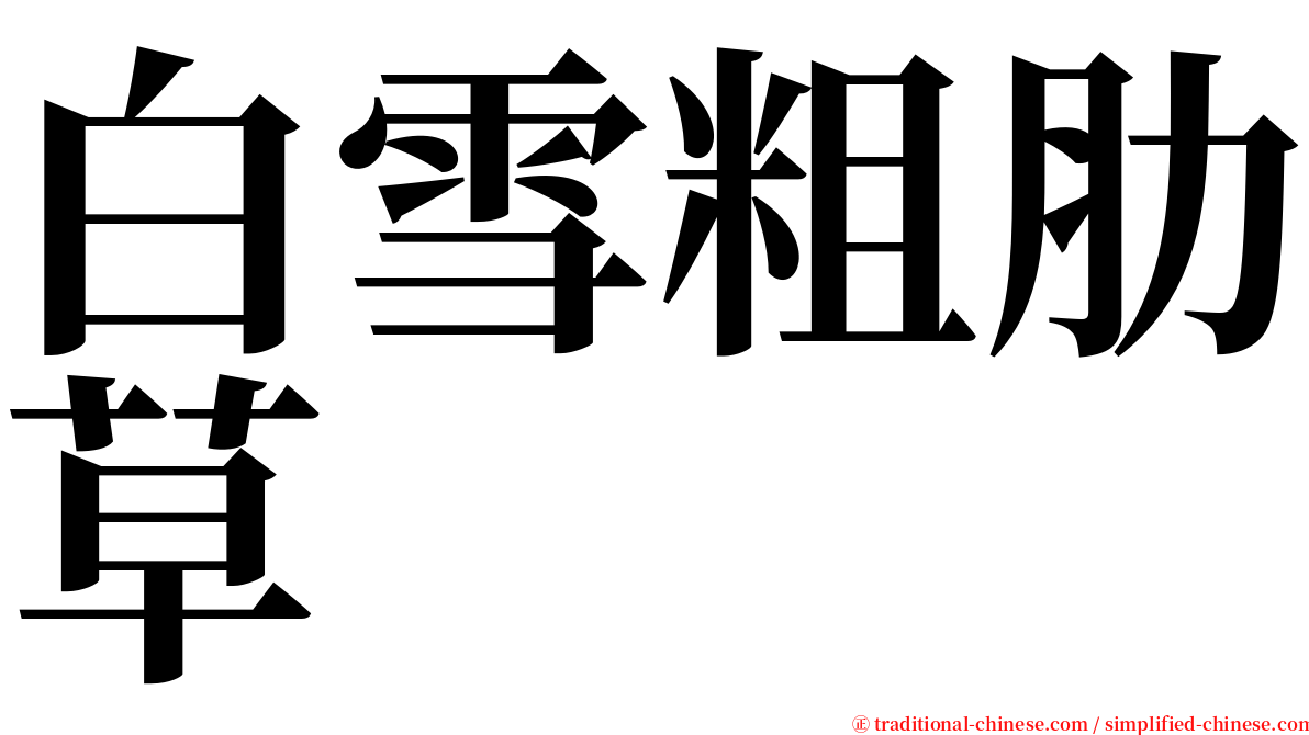 白雪粗肋草 serif font