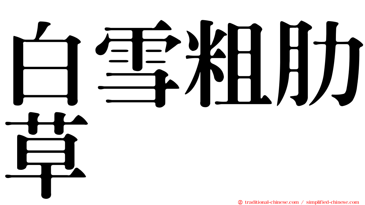 白雪粗肋草