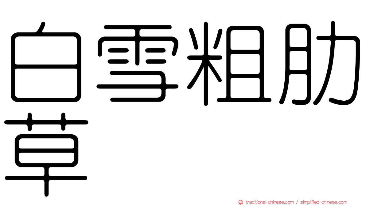 白雪粗肋草
