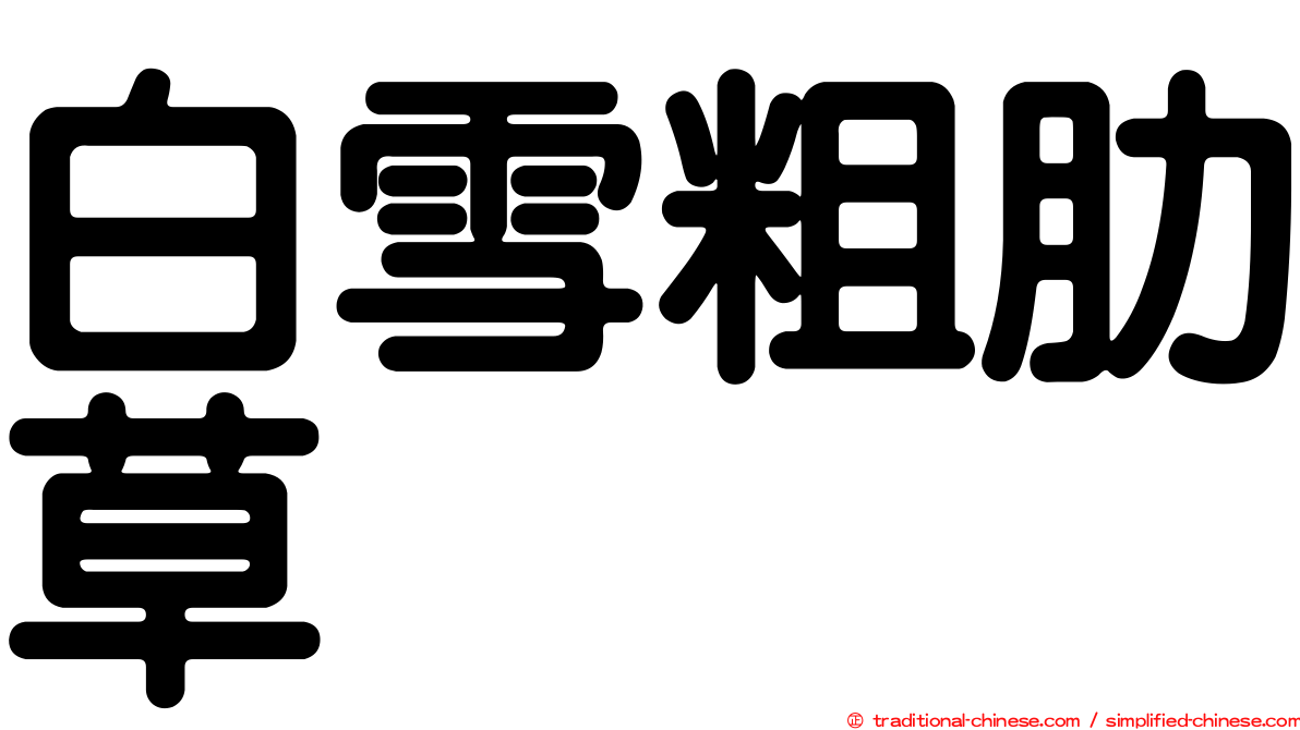 白雪粗肋草